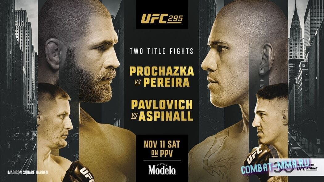 UFC-295-Prochazka-vs.-Pereira-1-1